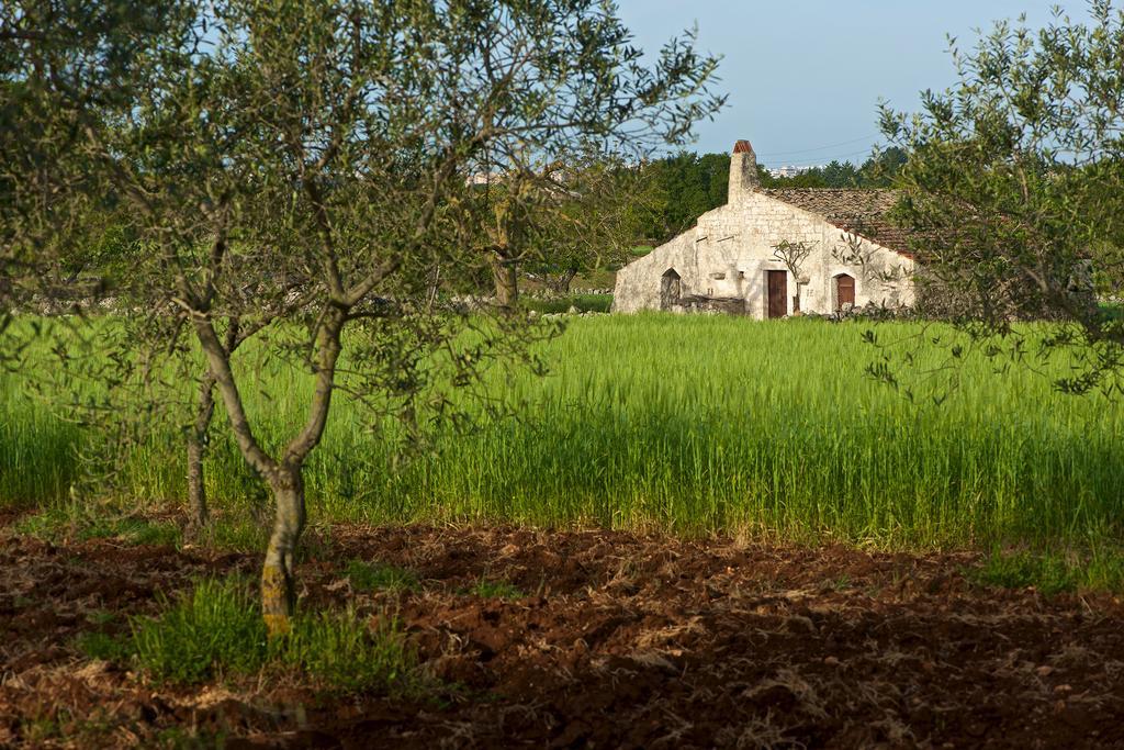 Masseria Ciavea Gioia Del Colle Kültér fotó